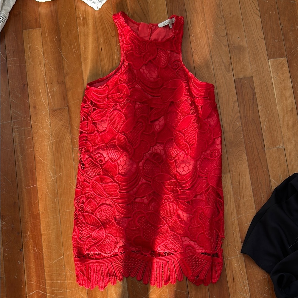 Lovers and Friends Red Lace Dress